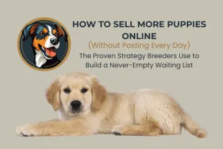How to Sell More Puppies Online