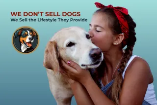🐾 We Don’t Sell Dogs, We Sell the Lifestyle They Provide