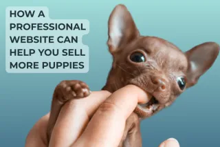 Sell More Puppies With The Help of A Professional Website