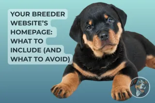 Your Breeder Website’s Homepage: What to Include (and What to Avoid)