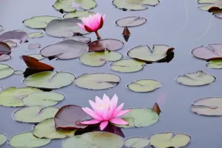 Explaining Complex PTSD, Part 2: Healing Spiritual Trauma and Recovering Faith After Church Hurt