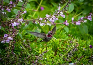 Unlearning Pain as Love: The Tender Work of Inner Healing