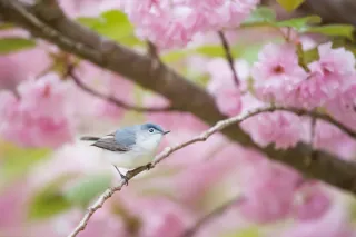 When the One Who Hurt You Was Also Hurt: Holding Compassion Without Losing Yourself