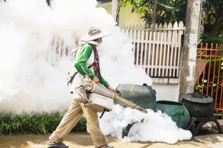 Why You Should Consider Year-Round Mosquito Prevention in Southwest Florida