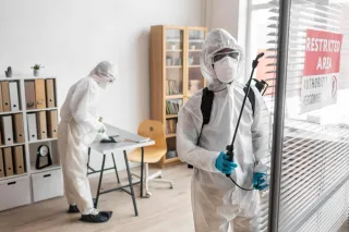 How to Pest-Proof Your Home Before the Rainy Season in Florida