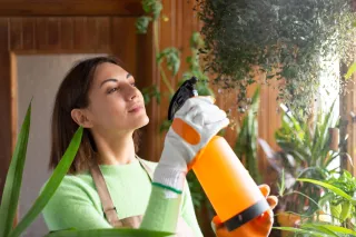 Why DIY Pest Treatments Fail in Florida’s Climate