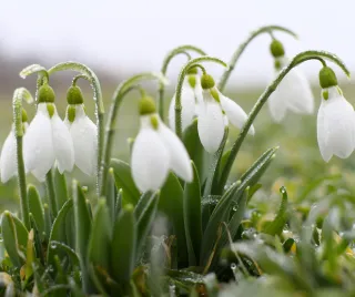 Simple Ways to Keep Your Landscape Looking Beautiful All Winter Long