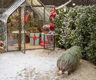 Why December Garden Care Matters in Toronto