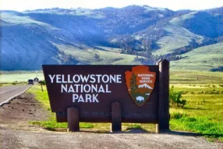 Spring is Stirring in Yellowstone National Park – Plan Your Trip Early!
