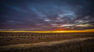 Hunting Seasons in Saskatchewan: A Year-Round Paradise for Hunters