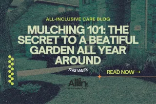 Mulching 101: The Secret to a Beautiful Garden All Year Round