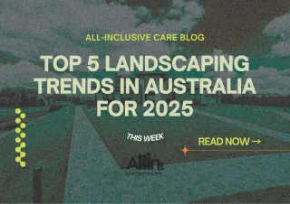 Top 5 Landscaping Trends in Australia for 2025 🌿