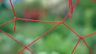 Free Yourself - Strings Attached