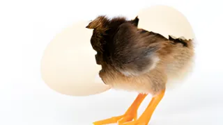 How Do We Know When We Are Losing Personal Power?