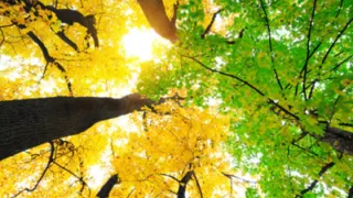 Your Perspective Isn’t Fixed – Transform Your Experience