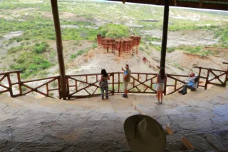 The Real Safari: My Awakening at the Cradle of Mankind