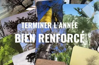 Ateliers collectifs et Coaching individuel