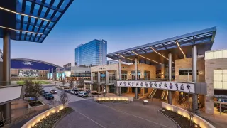⭐ The Star in Frisco: Where Cowboys Dreams Come Alive