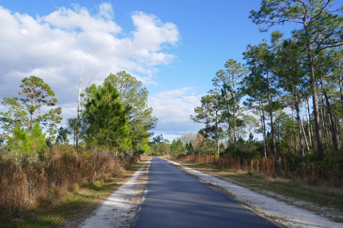 🌳Get Outside & Breathe Deep: Why New Tampa Nature Park Is a Total Vibe