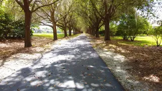 FishHawk Ranch Trails – Where Nature, Neighbors, and Nikes Come Together