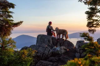 Enjoying the Outdoors with Your Dog: Tips for Safe and Fun Adventures