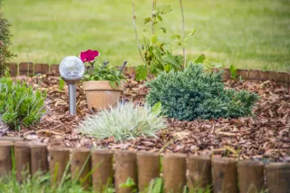 The Benefits of Mulching: Improving Soil Health and Conserving Water