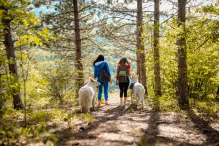 Dog-Friendly Hiking Trails: Exploring Nature with Your Furry Companion