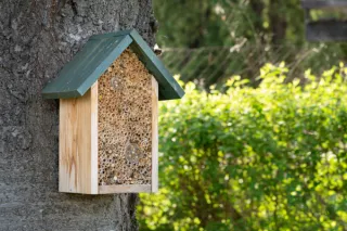 Building a Bee Hotel: Providing a Home for These Important Pollinators
