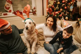 Dog-Friendly Holidays: Keeping Your Dog Safe and Happy During Celebrations