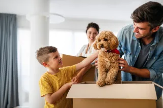 Introducing a New Dog to Your Home: Tips for a Smooth Transition