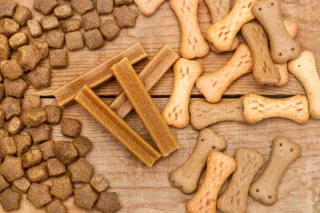 Choosing the Right Dog Food: A Guide for Pet Owners