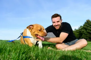The Joys of Dog Fostering: Making a Difference in a Dog's Life