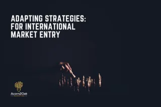 Adapting Strategies: How Flexibility Makes or Breaks International Market Entry