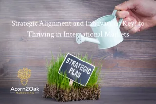 Strategic Alignment and Innovation: Keys to Thriving in International Markets