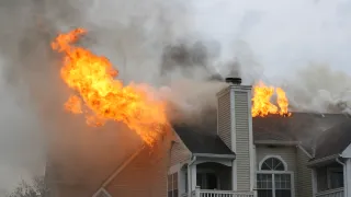 Understanding Environmental Impact and Considerations in Fire Restoration