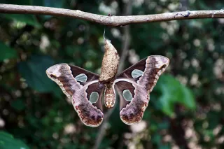 The Journey to Inner Transformation