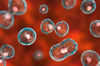 Beyond Genes: The Epigenetic Revolution Unveils the Power of Perception