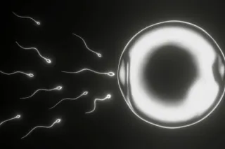 Semen Retention: A Modern Practice with Ancient Roots for Optimal Health and Wellness