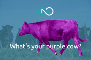 Standing Out in a Crowded Market: The Power of the Purple Cow Marketing Strategy