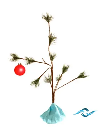 Charlie Brown’s Christmas and Life