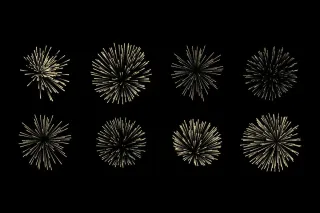 Types of Fireworks for your New Orleans Firework Show