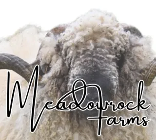 Sheep Farming for Beginners