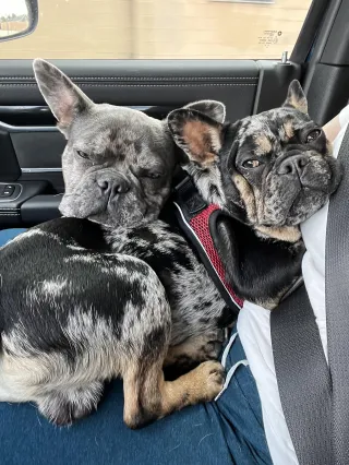 Three Kids, Infinite Adventures: Navigating Road Trips with Joy and Ease