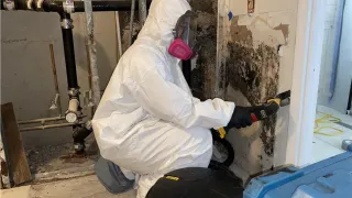 How to Prevent Mold Growth in Humid Houston Climates