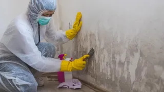 Understanding the Insurance Process for Water and Mold Damage Claims in Houston, TX