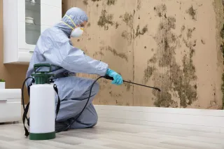 Why Professional Mold Remediation Is Critical After a Flood