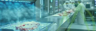 Ensuring Food Processing Safety: A Guide for Meat Producers in South Africa