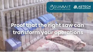 Astech Automatic Saw SRA 3.0 | Food Processing Equipment in South Africa