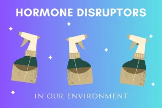 Hormone Disruptors in Our Environment