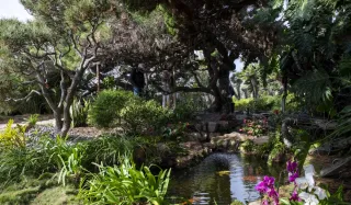 Visit San Diego’s Self-Realization Meditation Gardens